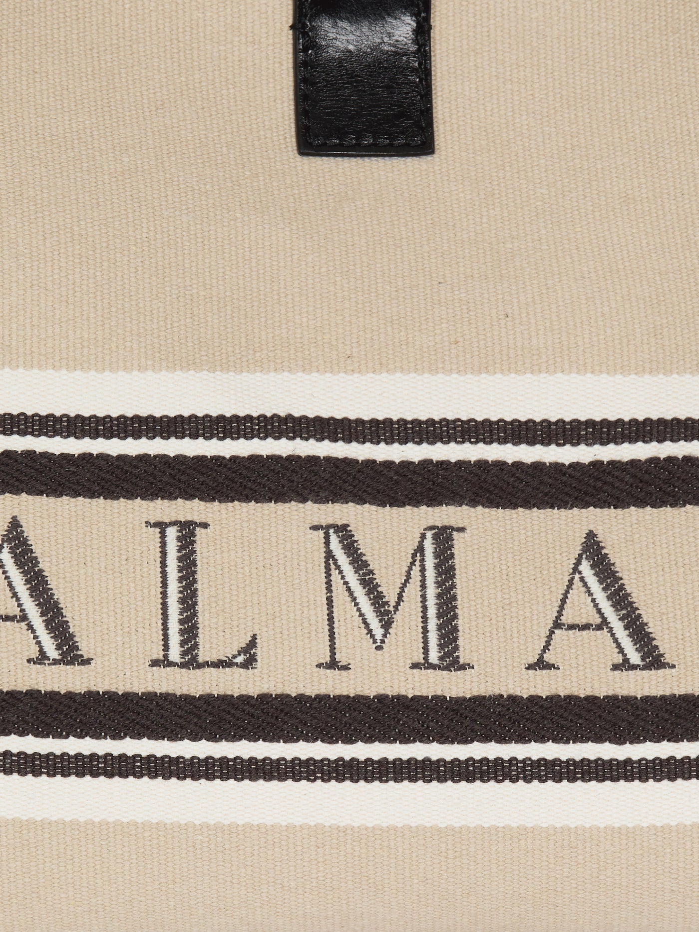 Small Release Shopper bag in canvas and calfskin