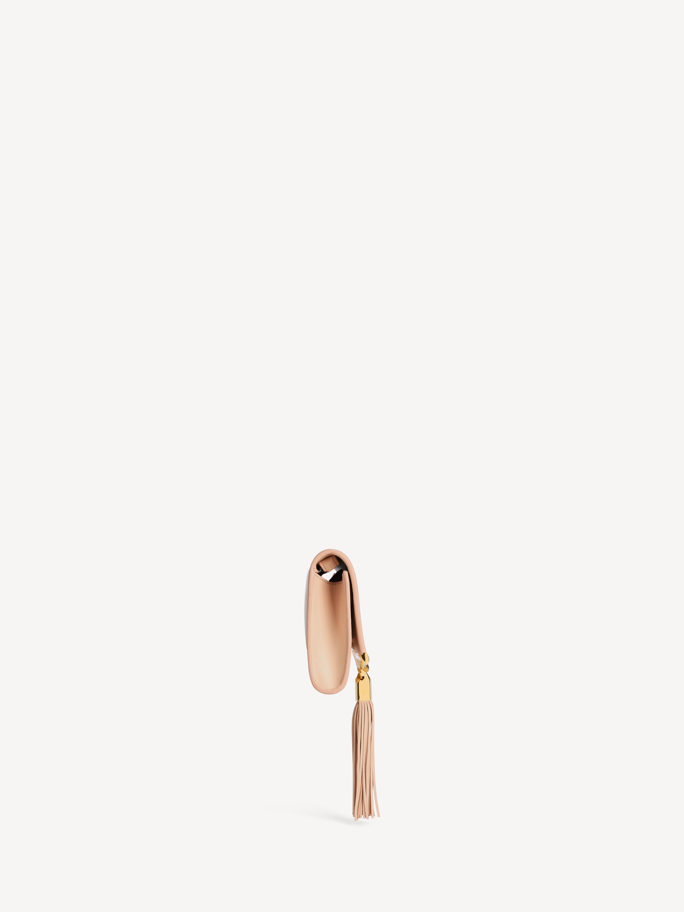 Ophir Chain Pouch in pelle liscia
